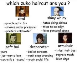 Pin By Fuyu Tori On Zuko Our Beloved Prince In 2020 The Last Avatar Avatar Funny Avatar The Last Airbender