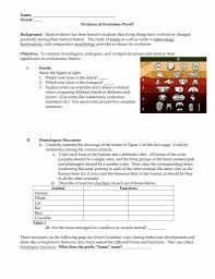 Pin On Printable Blank Worksheet Template