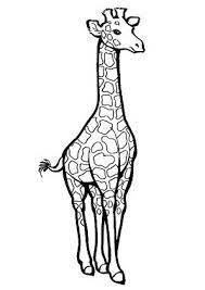 Giraffe Ausmalbild Ausmalbilder Fur Kinder Ausmalen Giraffen Zeichnen Ausmalbilder Tiere