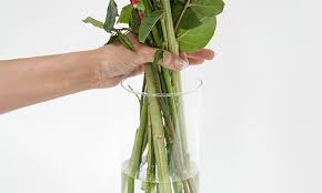 Keep your flowers fresher longer when you use clorox® bleach. How To Take Care Of Fresh Flowers Ferns N Petals Official Blog