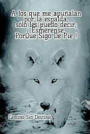 Tabla De Misiones Feb Abril Anime Amino Frases De Sabiduria Frases Bonitas Frases Sabias