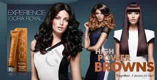 Schwarzkopf Professional Igora Royal High Power Browns