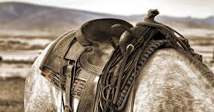 The gene that creates the dun pattern affects all base coat colors, including black. Equine Breed And Registry Equine Web Design Links And Resources