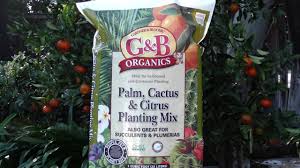 Frequent special offers and discounts up to 70% off for all products! Gbo Palm Cactus And Citrus Youtube