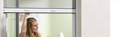 Insektenschutz Fur Fenster Turen Gunstig Nach Mass