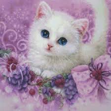 Ilustrasi kucing hitam, kucing hitam kucing kartun, kucing hitam hd, mamalia, hewan, kucing seperti mamalia png. Diy Lukisan Diamond 5d Dengan Gambar Kucing Kecil Dan Hiasan Berlian Buatan Shopee Indonesia
