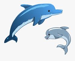 Hari ini ada gambar ikan lumba lumba. Gambar Lumba Lumba Kartun Free Transparent Clipart Clipartkey