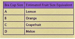 Fruit Chart Cup Sizes For Dummies Album On Imgur