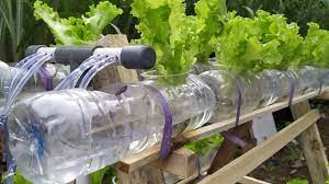 Check spelling or type a new query. Cara Membuat Rak Hidroponik Dari Kayu Dan Botol Bekas Youtube