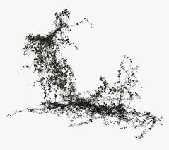 Transparent Ivy Clipart Black And White Ivy Climbing Plant Png Png Download Transparent Png Image Pngitem Lets tackle drawing some climbing ivy.