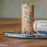 Introduction to Wine Basics - In Person