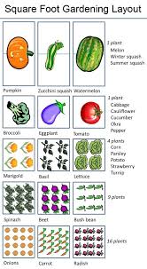 Since i use the square foot gardening method, i have created a garden planner using microsoft excel. Easiest Vegetables To Grow In A Square Foot Garden Dress Your Home