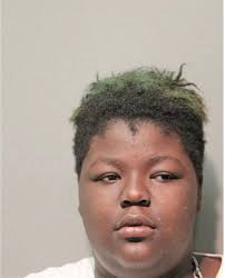 ᐅ Illinois Criminal Records 2009-2025