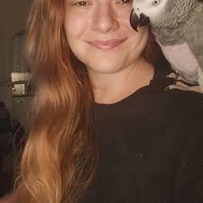 Blue macaw for rehoming message me for more details