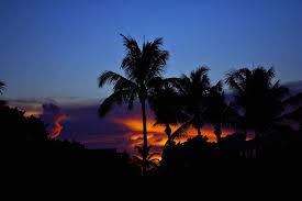 Beach tree sunset silhouette palm tree palm beach sunset silhouette beach silhouette sunset tree sunset silhouette tree tree beach palm beach palm sunset sky sea ocean nature landscape water evening sun background dusk sand beautiful light blue summer orange coast vacation tropical. Beach City Silhouette Palm Trees Sunset Tree Sky Palm Tre Piqsels