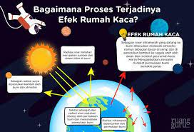 Simak pengertian lengkap, penyebab, proses terjadinya, serta akibat negatif lantas, apa yang membuat frasa efek rumah kaca sangat negatif di kalangan banyak orang? Apa Itu Efek Rumah Kaca Biologi Kelas 7