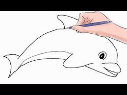 How To Draw A Dolphin Easy Step By Step Dolphin Drawing Pictures To Draw Drawings