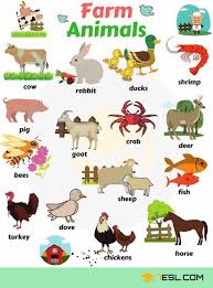 Learn Animal Names In English Animal English Farmanimalsvocabulary Learn Names Animals Name With Picture Animals Name In English Farm Animals List