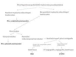 Většina známých patofyziologických mechanizmů se uplatňuje napřič. Informace Pro Lekare Plicni Hypertenze