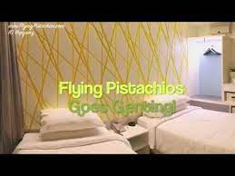 First world hotel in genting highland, kuala lumpur malaysia , find out the difference between standard vs deluxe rooms review. Resorts World Genting Ep1 Xyz Deluxe Room Tour Flying Pistachios Goes Genting Youtube