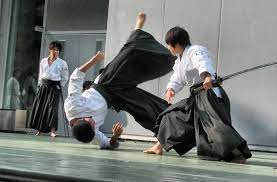 Aikido Show Aikido Self Defense Martial Arts Martial Arts