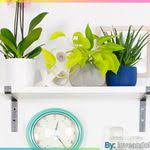 اللون الرمادي الفاتح في الديكور colours that go with grey paint colors home decor decals