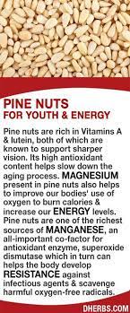 Pine Nuts Are Rich In Vitamins A Lutein Both Known To Support Sharper Vision Its High Antioxidant Content Helps Slow Healthy Living Health Natural Medicine