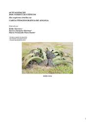 Image result for Eriosema vanderystii