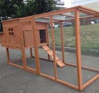 Amazon.com: ChickenCoopOutlet Jaula grande de madera maciza ...