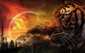 Tiger Wallpaper Pack 1080p Hd Tiger Wallpaper Tiger Art Animals