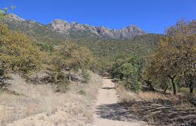 Maybe you would like to learn more about one of these? Explore The Natural Beauty Of Madera Canyon Oro Gold Stores