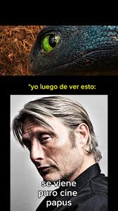 Chimuelo: El Famoso Furianocturna de Cómo Entrenar a tu Dragón