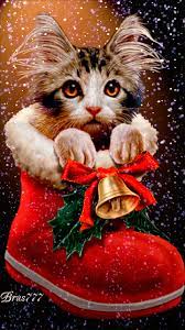 Gifs y Fondos Paz enla Tormenta ®