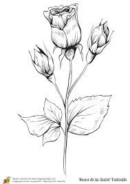 coloriage roses saint valentin rose dessin croquis de fleurs spiderman gobelin vert gratuit