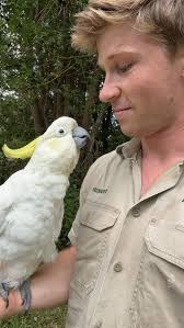 Meet Occa the Sulphur-crested cockatoo ☺️