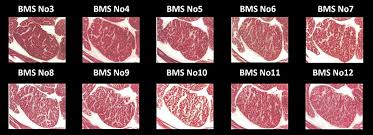 Wagyu Beef Grading And Marble Scores Guide Steaks And Game