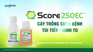 Tien sa 250EC