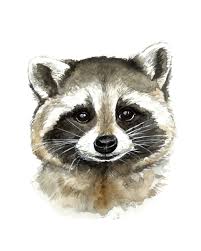 Raccoon Watercolor Print Raccoon Art Raccoon Painting Raccoon Print Woodland Theme Woodland Decor Kids Decor Nursery Decor Raccoon Art Watercolor Print Raccoon Print
