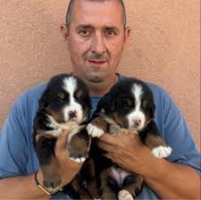 László Kardos (@laszlo.kardos.528) • Facebook, Connect with friends