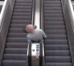Find the newest escalator meme. Old Man Falls Down Escalator Gifs Tenor