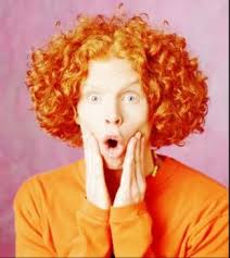 Blurred Lines Continued I M Beginning To Feel Sorry For Comedians The Ones Who S Routines Often Focus On Pop Cultur Carrot Top Ginger Picture Red Hair Boy
