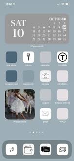 30 Blue Themed Home Screen Ideas Homescreen Iphone Home Screen Layout Ipad Ios