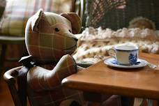 Stuffed Animal Tea Party — The Story Emporium and...