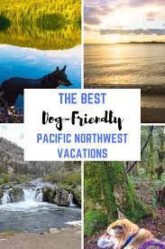 Best Dog Friendly Vacations In The Pacific Northwest Travel Usa Adventure Activities Us Travel Destinations