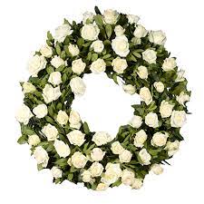 We did not find results for: White Rose Funeral Wreath Funeral Flowers Floraqueen