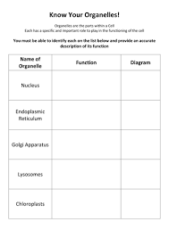 Organelles of the cell (updated). Cell Organelles Teaching Resources