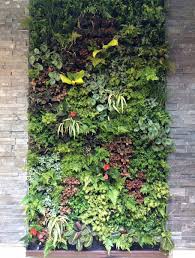 Landscape Designer New York Plant Wall Design Is A Consulting Company Specialized In The Design Vertical Garden Indoor Vertical Garden Vertical Garden Design