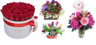 Along with a beautiful visual depiction, each entry provides the flower's scientific and common names, characteristics, and historic meanings and powers from mythology, medieval legends, folklore, and flower poetry. The 16 Best Options For Flower Delivery In Greece 2021