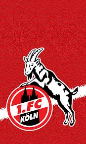 Bornauw und hector fehlen in regensburg. 1 Fc Koln Bilder