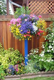 Side Planting Photo Contest Container Flowers Flower Pots Hanging Flower Baskets